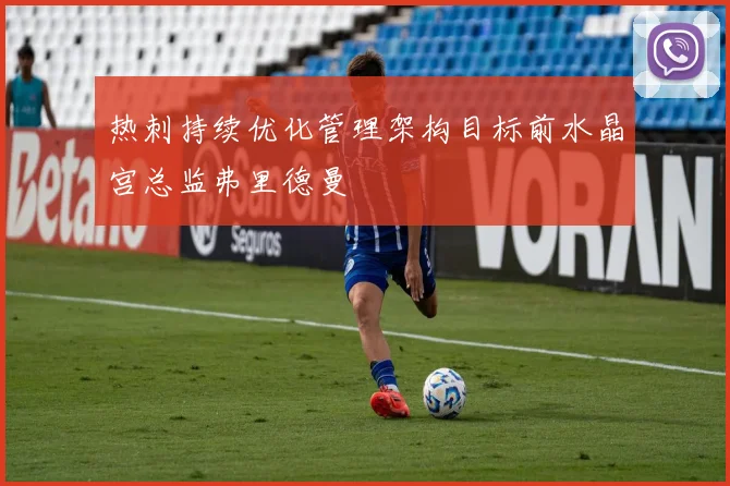 热刺持续优化管理架构目标前水晶宫总监弗里德曼